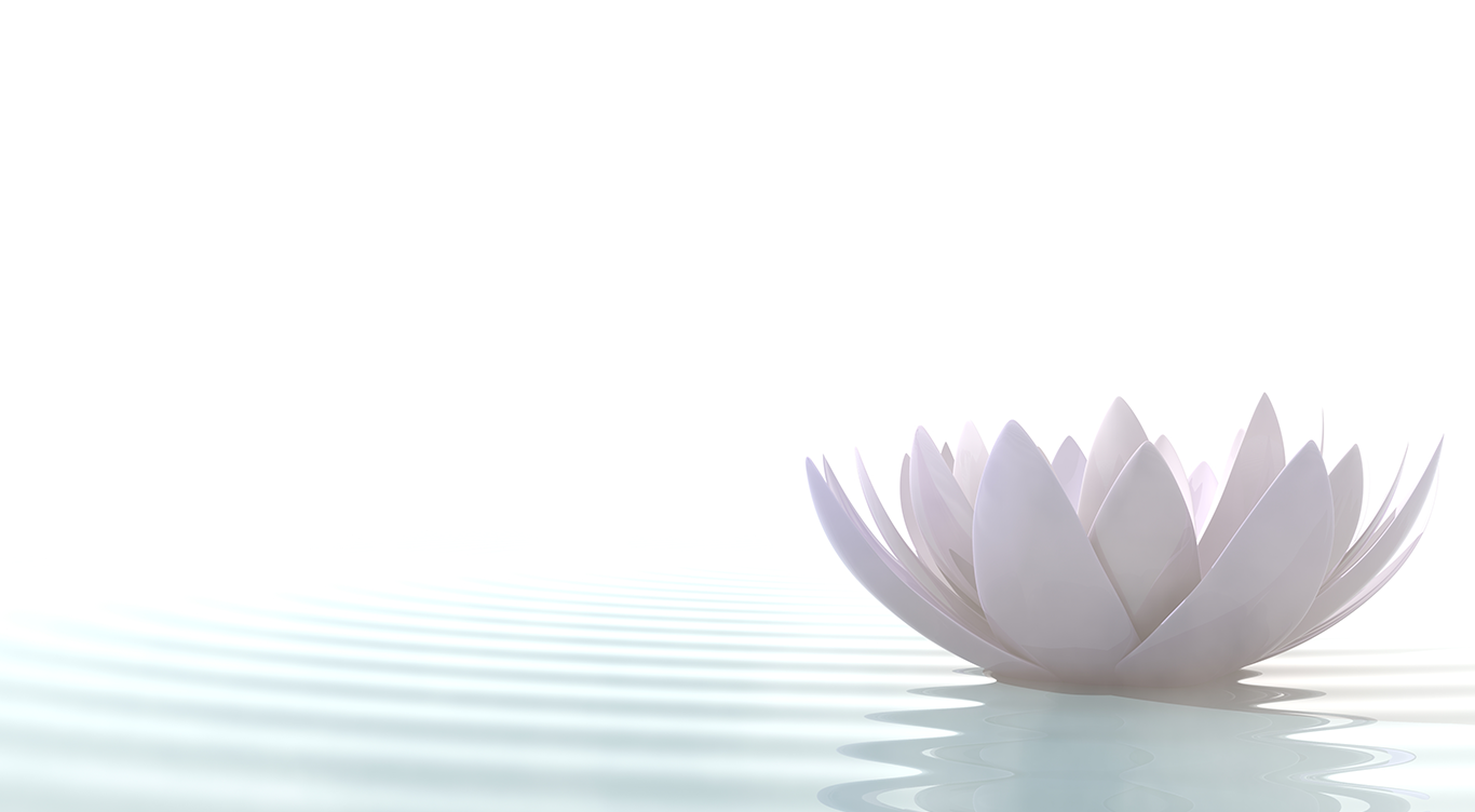 floating lotus flower